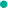 狙击三星和OPPO，越南首富要做强国产手机